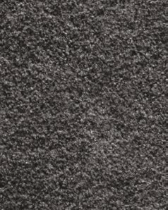 Fin