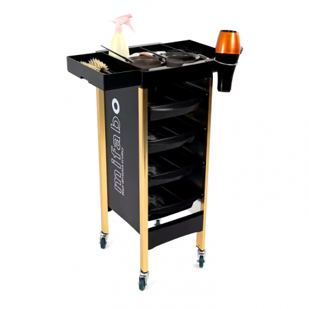 Ucenic coafor - Ucenic frizerie coafor Negru, 4 sertare, Plastic dur, Picioare metalice Aurii, 89x37x31cm