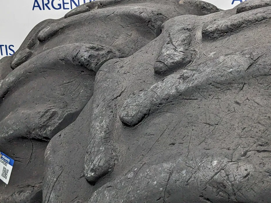 Pereche 2 anvelope 710/45/R26.5 Nokian (cod P100408I) [3]