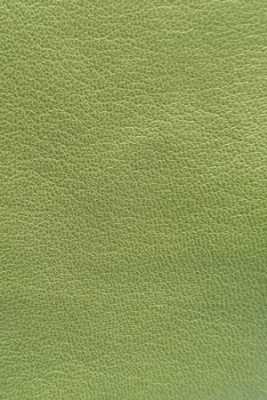 Geaca din piele naturala scurta, cu fermoar si cusaturi, multicolora [5]