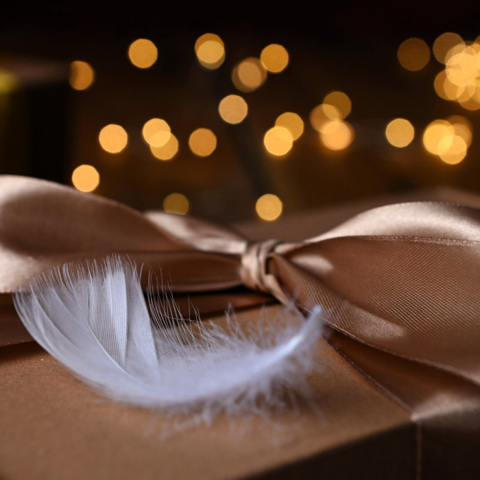 Cutia secreta a lui Ariel [1]