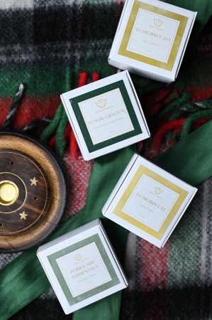 conuri parfumate Ariel purificare ambientala [2]