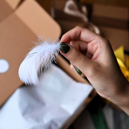 Cutia secreta a lui Ariel [1]