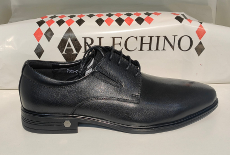 PANTOFI BARBATI ELEGANTI [1]