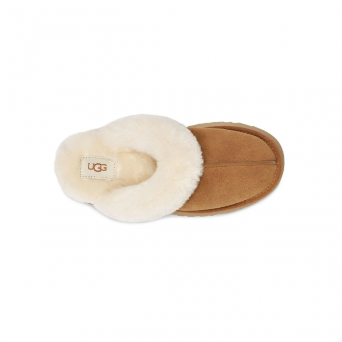 1122550 Disquette  UGG [5]