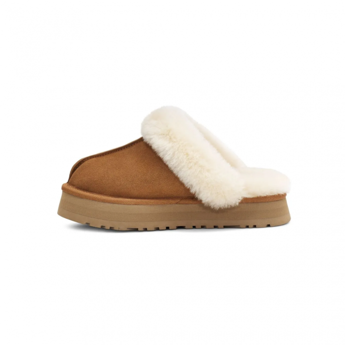 1122550 Disquette  UGG [3]