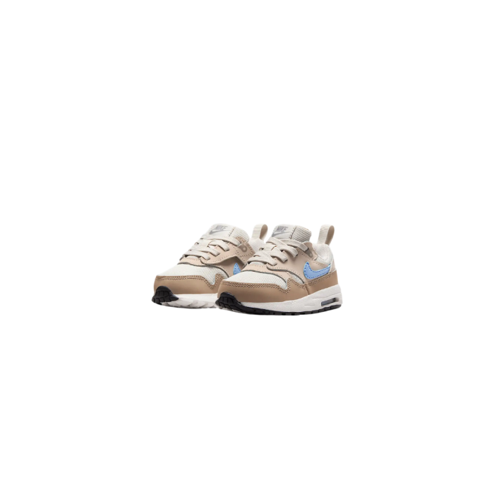 AIR MAX 1 EASYON BT DZ3309-010 [3]