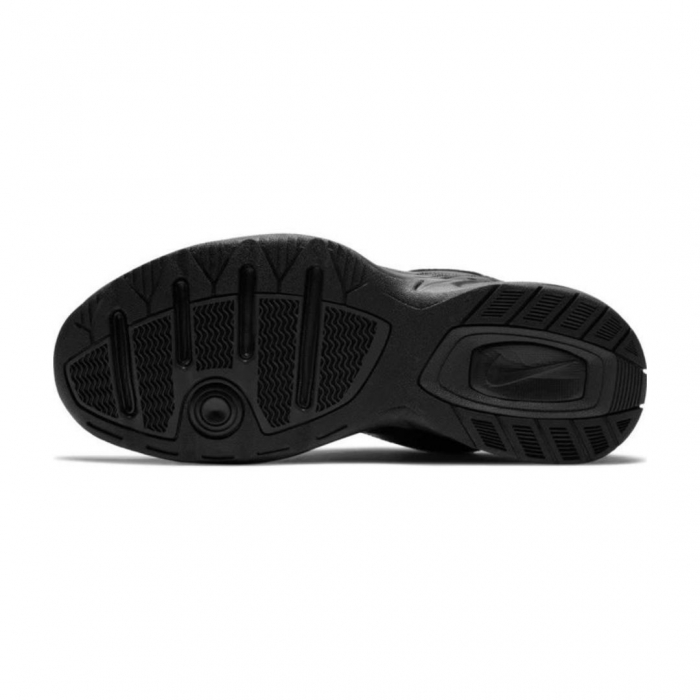 Air Monarch IV [4]