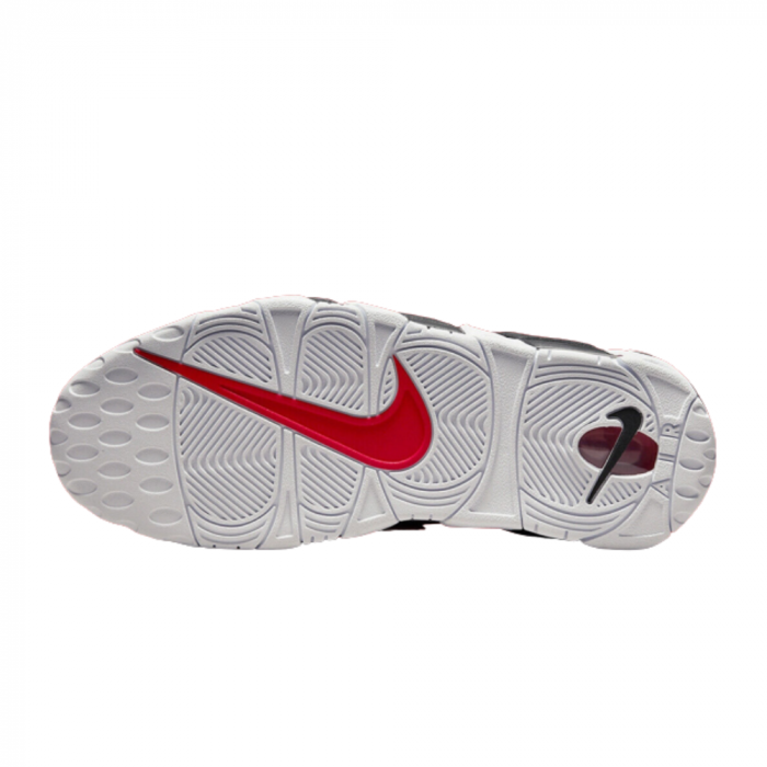 AIR MORE UPTEMPO `96 BRD [3]