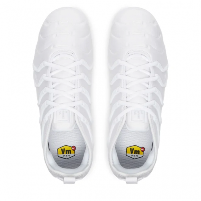 AIR VAPORMAX PLUS 924453-100 [5]