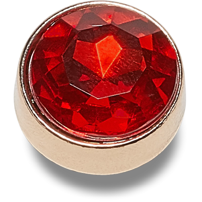 CROCS JIBBITZ / Dark Pink Circle Gem 10011342 [2]