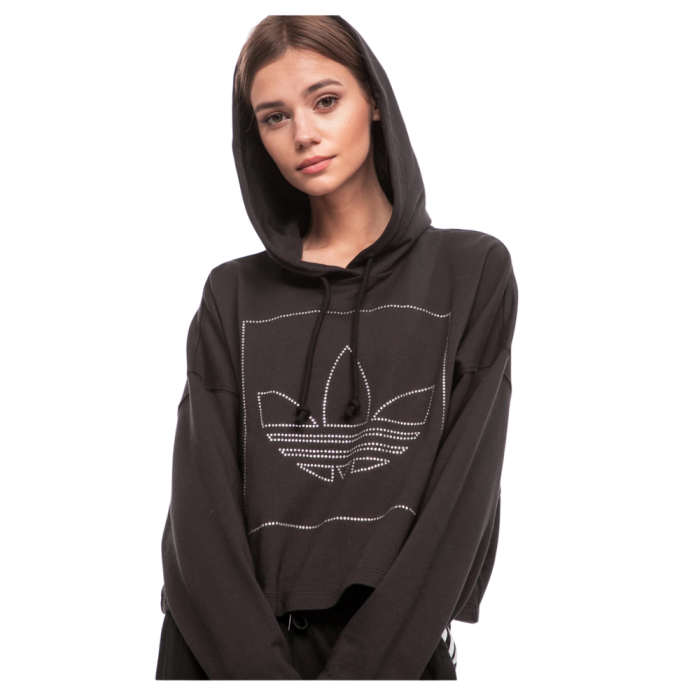 Crop Hoodie [4]