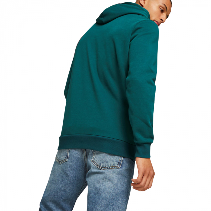 ESS Big Logo Hoodie FL (s) Varsity Green [4]