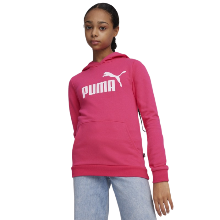 ESS Logo Hoodie TR G Garnet Rose 587030-48 [1]