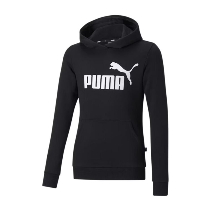ESS Logo Hoodie TR G Puma Black 587030-01 [2]