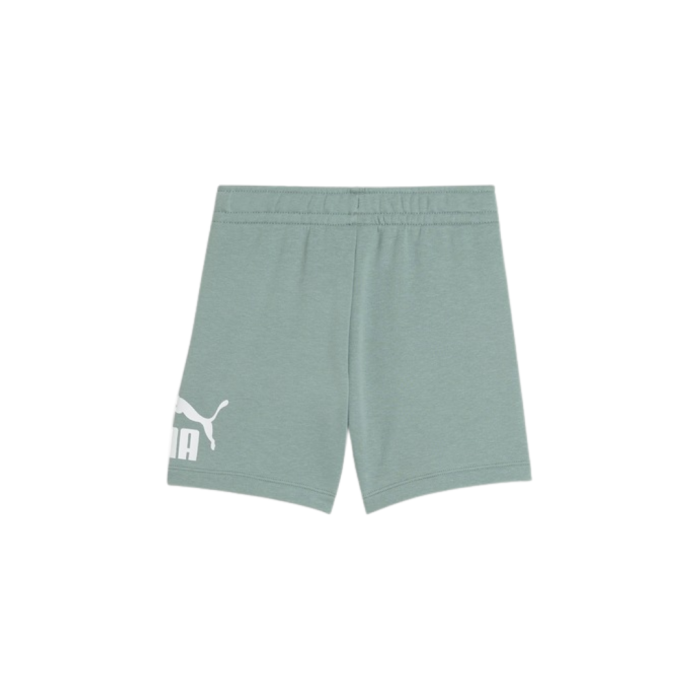 ESS No. 1 Logo Shorts TR PS Green Moon 684935-30 [5]