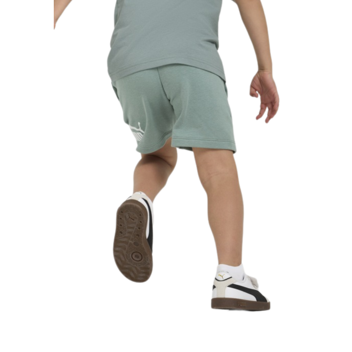 ESS No. 1 Logo Shorts TR PS Green Moon 684935-30 [3]