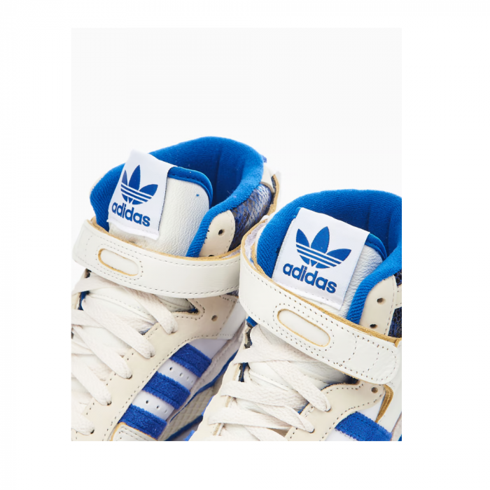 Forum 84 Hi [4]