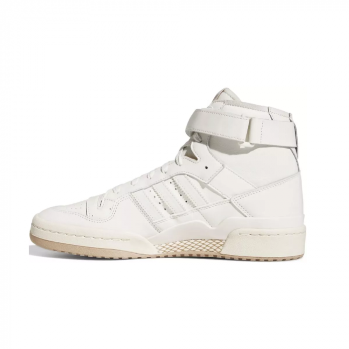 Forum 84 Hi [2]