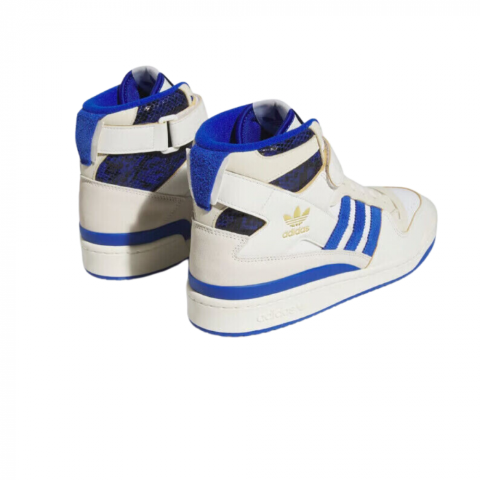 Forum 84 Hi [3]