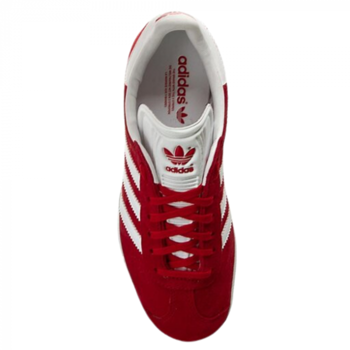 Gazelle [3]