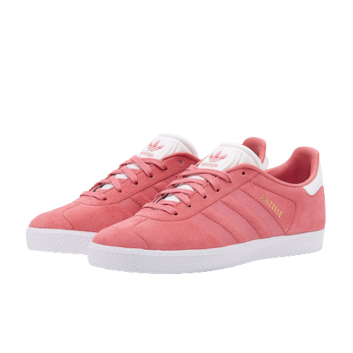 GAZELLE J [3]