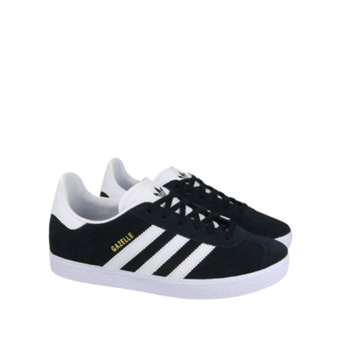 Gazelle J [3]