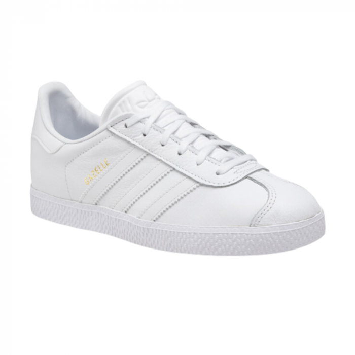 Gazelle J [2]