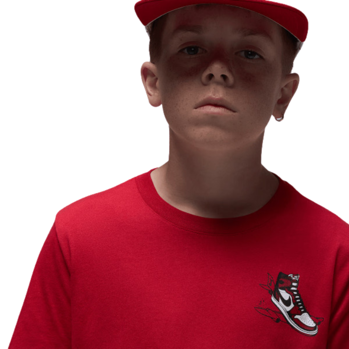 JDB AIR JORDAN HAS LANDED SS T 95F279-H15 [2]