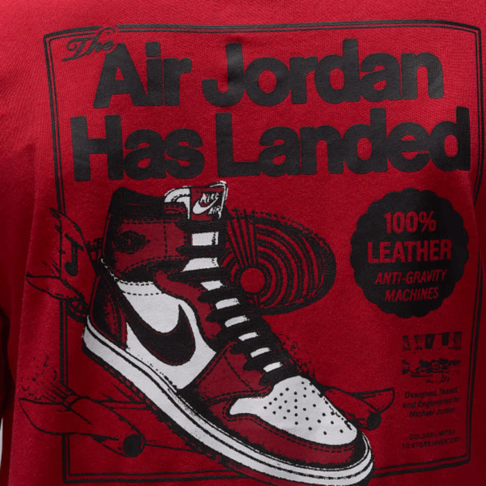 JDB AIR JORDAN HAS LANDED SS T 95F279-H15 [4]