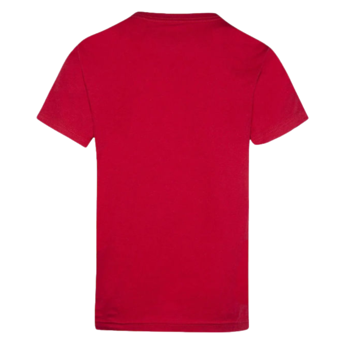 JDB PRACTICE FLIGHT 95A088-R78 [6]