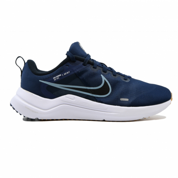 Nike Downshifter 12 DD9293-400