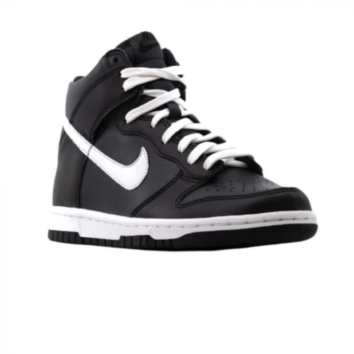 Nike Dunk Hi Bg [2]