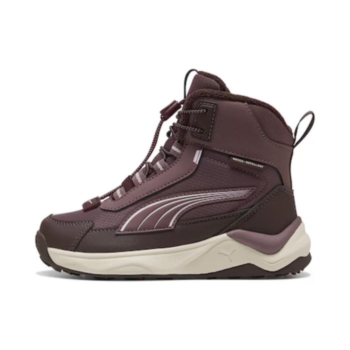 Puma Evolve 2.0 Boot PS Rich Cocoa-Powde 313809-02 [2]