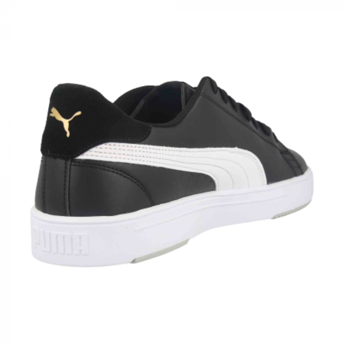 Serve Pro Lite [3]