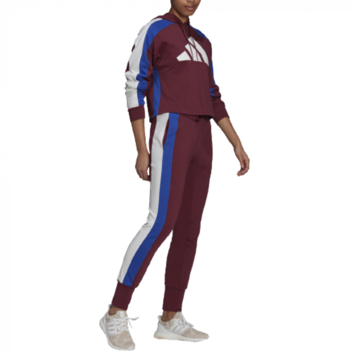 W TS BIG LOGO [2]