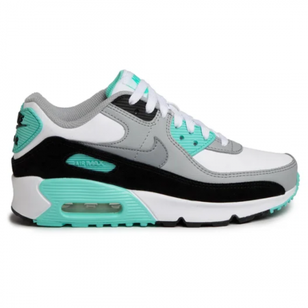 AIR MAX 90 G CD6864-102 [0]
