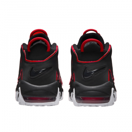 AIR MORE UPTEMPO `96 BRD [3]