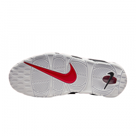 AIR MORE UPTEMPO `96 BRD [2]