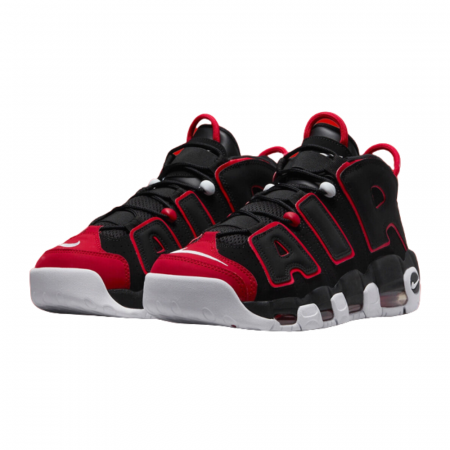 AIR MORE UPTEMPO `96 BRD [1]