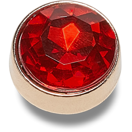 CROCS JIBBITZ / Dark Pink Circle Gem 10011342 [1]