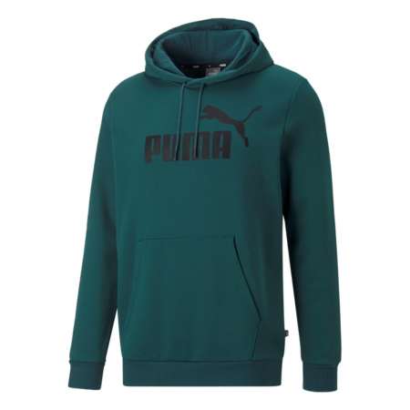 ESS Big Logo Hoodie FL (s) Varsity Green [0]