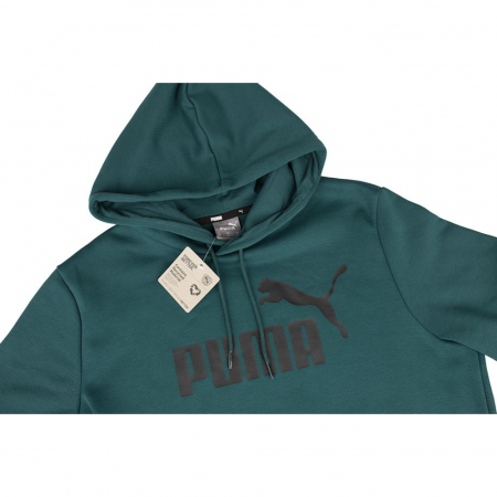 ESS Big Logo Hoodie FL (s) Varsity Green [1]