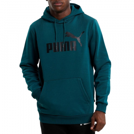 ESS Big Logo Hoodie FL (s) Varsity Green [2]