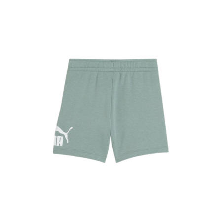 ESS No. 1 Logo Shorts TR PS Green Moon 684935-30 [4]