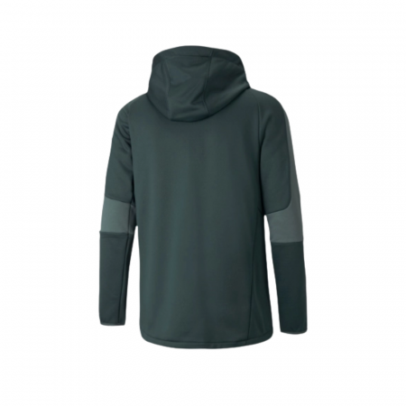 EVOSTRIPE WARM FZ HOODIE [1]