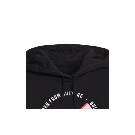 Felpa C/Capp Graphic [2]