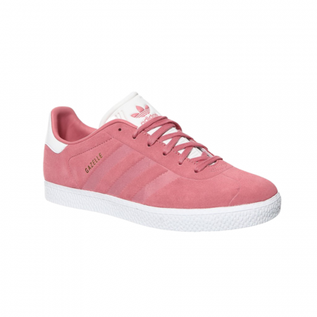 GAZELLE J [1]