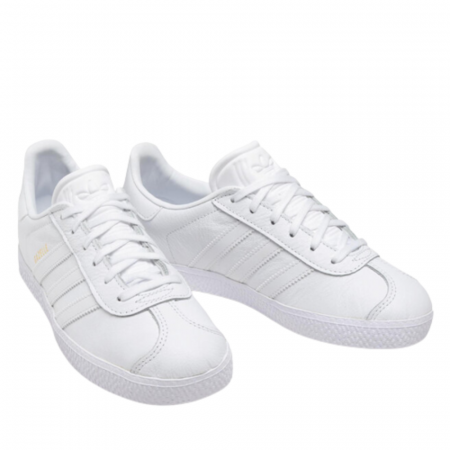 Gazelle J [2]