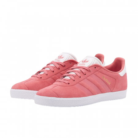 GAZELLE J [2]
